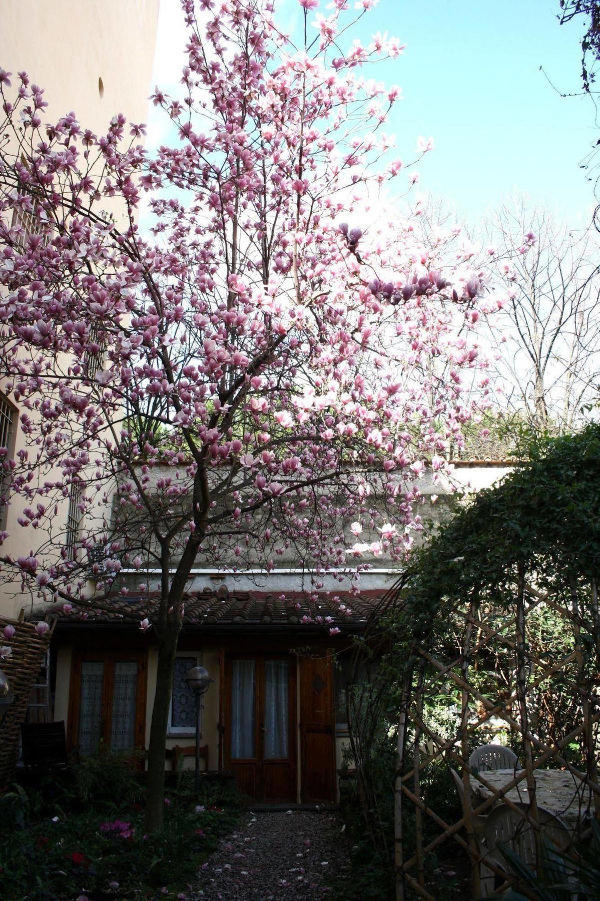 Affittacamere Casa Corsi Florencie Exteriér fotografie